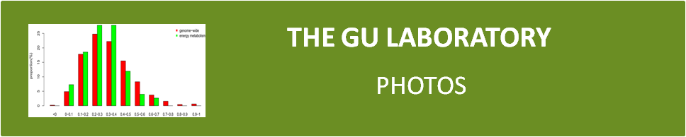 Gu Laboratory: photos